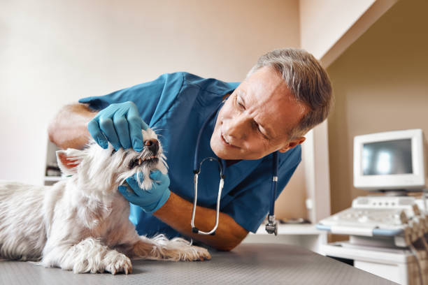 Best Tooth Infection Emergency Dentist  in Dresden, OH